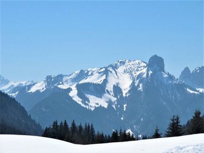 03 2021 24 mars Les Glières