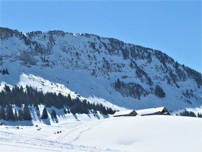 12 2021 24 mars Les Glières