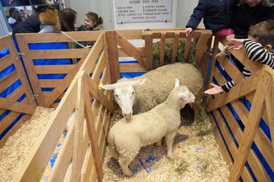 2  Viuz en Sallaz 2026 02 10 at 08.40 (3)