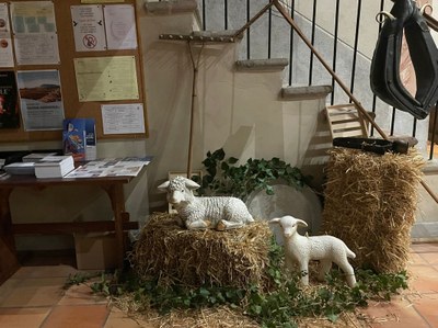 2  Viuz en Sallaz 2026 02 10 at 08.40 (7)