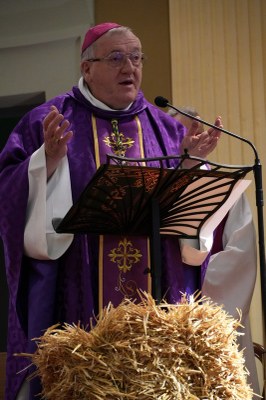 DSC03910   Faverges (5)