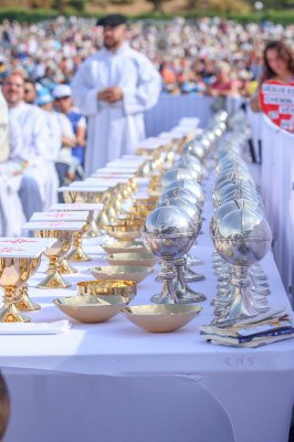 39 Messe Lourdes (c) Lubin Grenier (9)