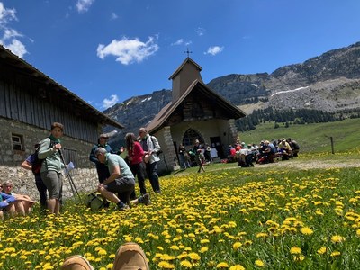 IMG 9920
