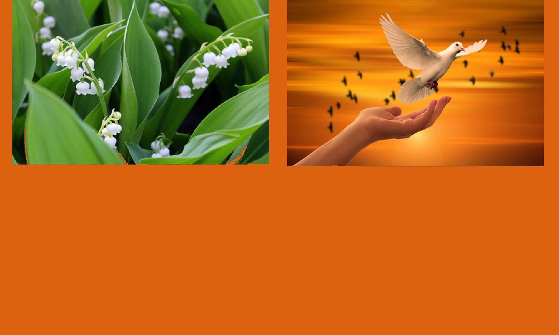 jours-feries-et-pont-de-lascension