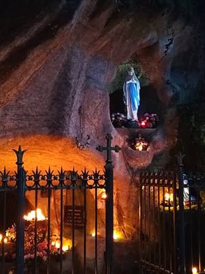 2025 12 08 Bloye  (3)