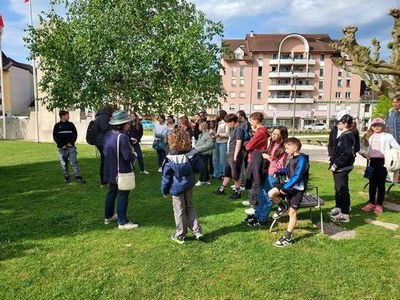 2026 05 03 pele aumone (7)