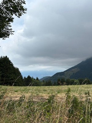 thumbnail IMG 0240