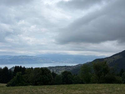 thumbnail IMG 0267