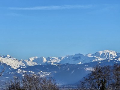 IMG 20251205 WA0018(1)