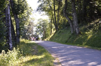  DSC0679