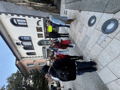 IMG 3350