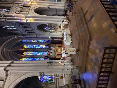 IMG 3453