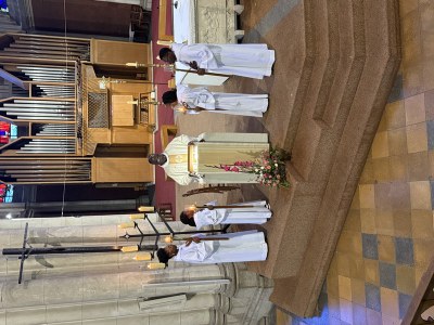 IMG 3463