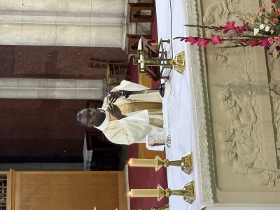 IMG 3478