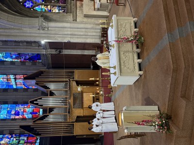 IMG 3489