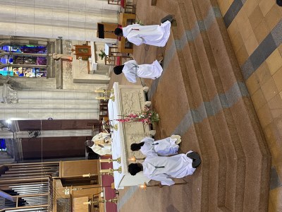 IMG 3495