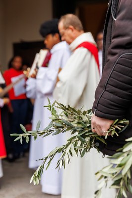 2025 04 12 Messe des Rameaux CZ 2079