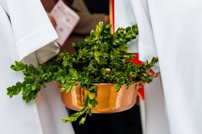 2025 04 12 Messe des Rameaux CZ 2121