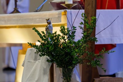 2025 04 12 Messe des Rameaux CZ 2256