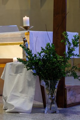 2025 04 12 Messe des Rameaux CZ 2308