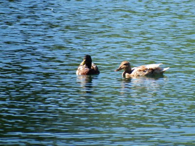 messe aux  lacs des ilettes le 03.07.16. 019