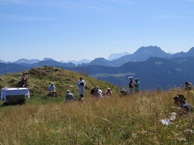 IMG 5965