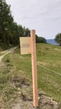 Chemin de halage 